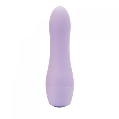 Secret Minivibrator