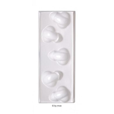 Bachelorette Party Favors 5 pcs. Dicky Ice Tray