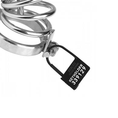 Keyholder 10er-Packung Nummerierte Plastik-Siegel
