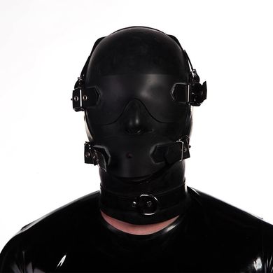 Anatomical Hood - Studio Gum