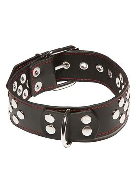 HardcoreDeLuxe - Leder Halsfessel breit mit Nieten und D-Ring schwarz