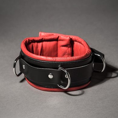 padded-leather-collar