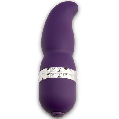 ROCK STAR VIBES PATTI PURPLE