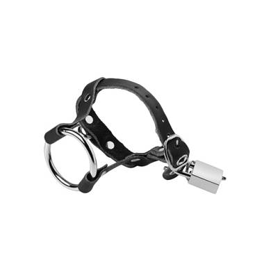 Versperrbarer Penis- und Hodenring