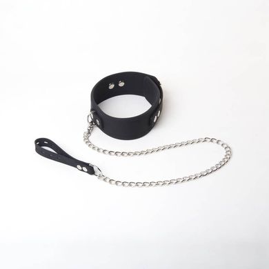Silicone Collar and Leash