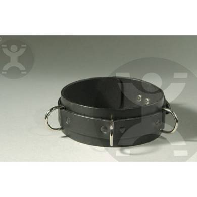 Klassisches Leder Halsband mit D-Ringen