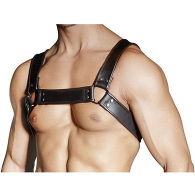 Black Leather Harness