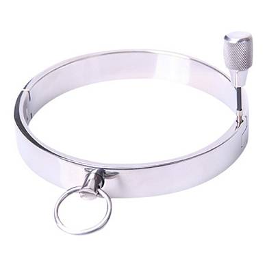 Kleines Halsband aus Metall