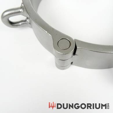 halseisen-aus-metall-15-kg