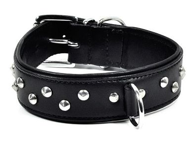 Leder Halsband mit D-Ring und Nieten v2