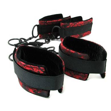 Scandal Hogtie