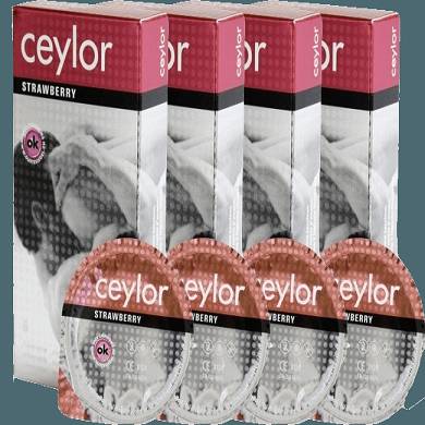 Ceylor Strawberry (24er Packung)