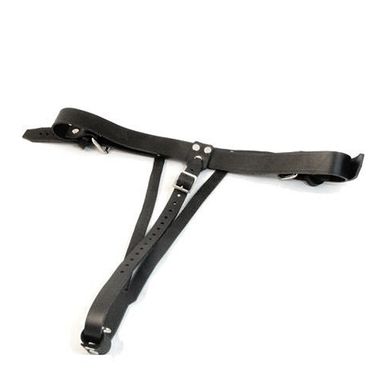 Male 2 Strap Plug Harness