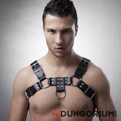 lederharness-tom-