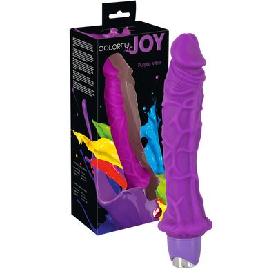 26 x 3,5 - 4,6 cm Colorful Joy Vibrator purple