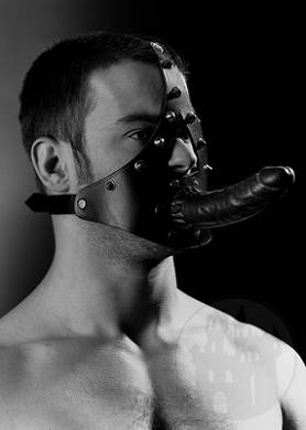 Kopfharness mit Kunstglied