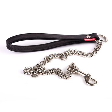 regulation-chain-leash