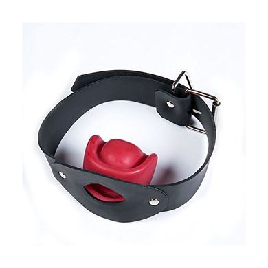 XY Fancy Voller Latex-Knebel Geöffneter Mund-Knebel mit verstellbarem Riemen-Paar-BDS