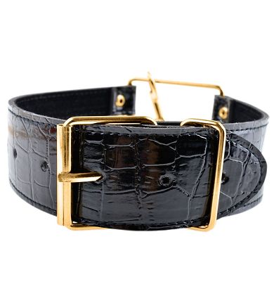 Fetish Fantasy Gold Collar & Leash - Halsband & Leine
