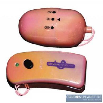 Wireless Vibrating Egg