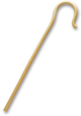 Fetish Fantasy - Control Cane