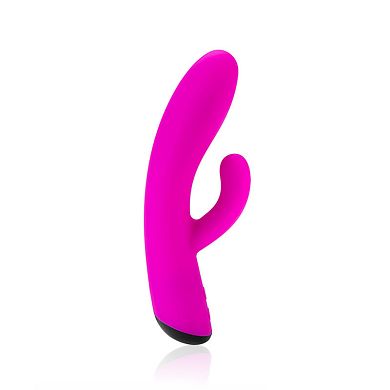 Euphorabliss, 19,5 cm