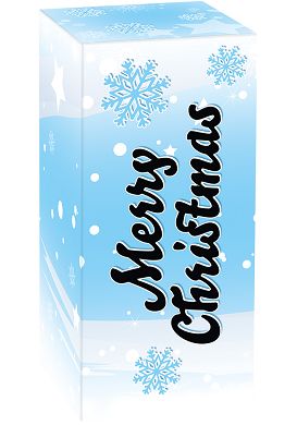 Womanizer Geschenkkarton -X-Mas-