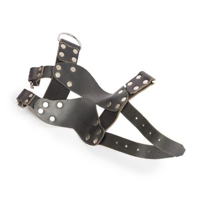 foot-suspension-stirrups
