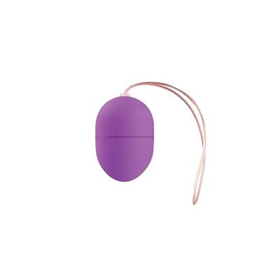 10 speed Wireless Vibrating Egg Small Size Lila