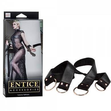 Entice - Luxus Gurte - in Schwarz/Gold