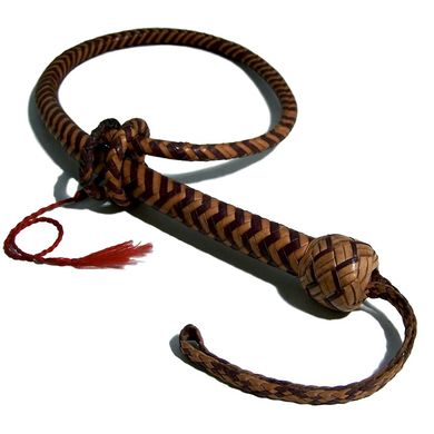 Signal Whip