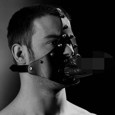 Kopfharness aus Leder