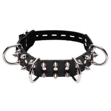 Eng sitzendes Hundehalsband mit Spikes