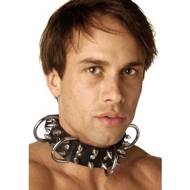 STRICT - Lederhalsfessel mit Spikes - Dog Collar