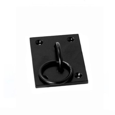 Wall Plate & Ring