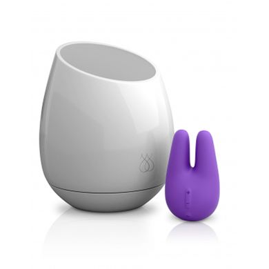 JimmyJane Pure UV-Desinfektion Stimmungslicht + FORM 2 Vibrator