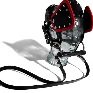 Deluxe Pony Bridle