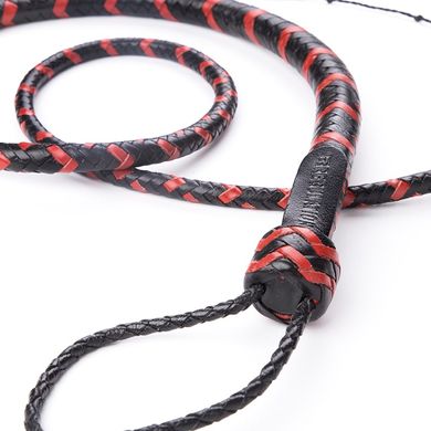 regulation-snake-whip