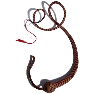 signal-whip