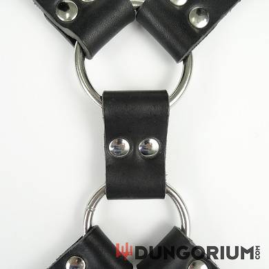 lederharness-mike