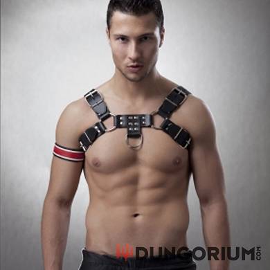lederharness-tom-