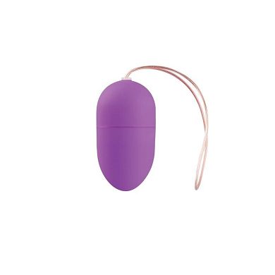 10 speed Wireless Vibrating Egg Medium Lila