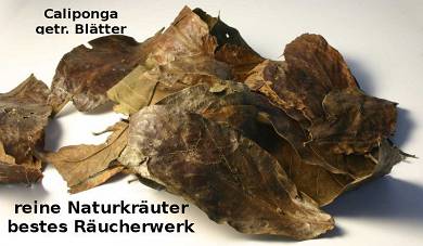 Chaliponga   100 Gramm Bltter Ayahuasca Traumkraut Aphrodisiaka u.a.