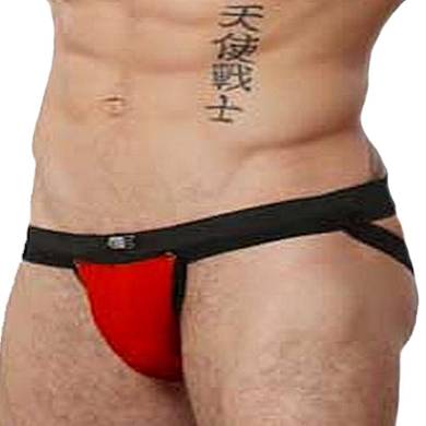 GBGB Alfie Jock Red