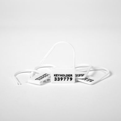 Disposable Chastity Lock Set