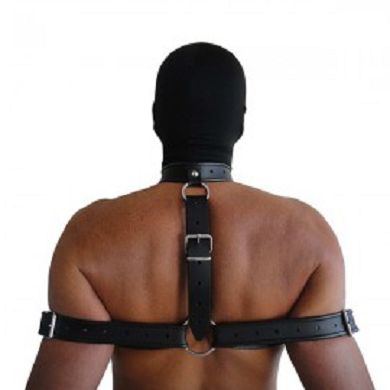 Leder Halsband mit Rckenfessel
