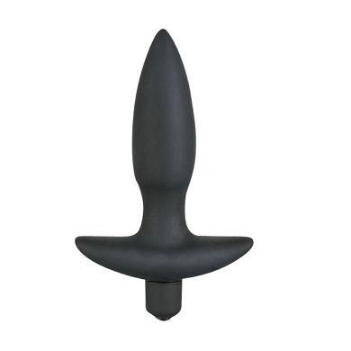 Analplug