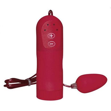 Velvet Red Mini Bullet