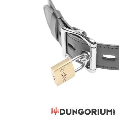 elektro-halsband-mit-fernbedienung_4