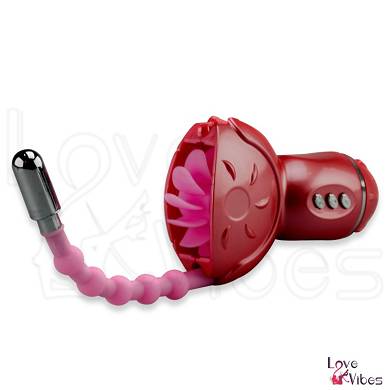 Oralsex-Simulator Rolling Fun